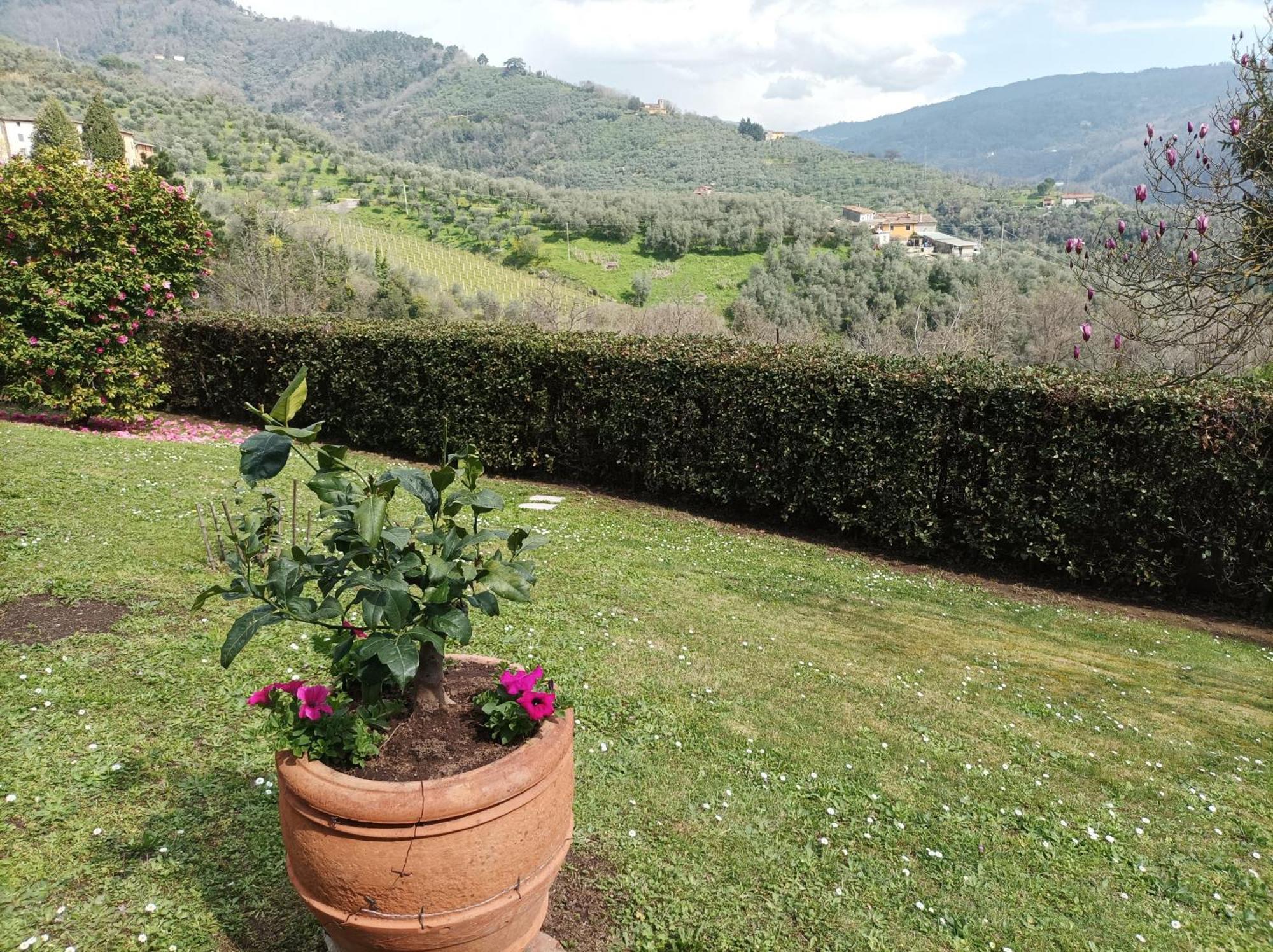 Villa Camelia Tuscany Pescia Exterior foto